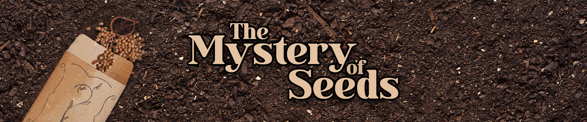 The Mystery of Seeds Graphic, decoration