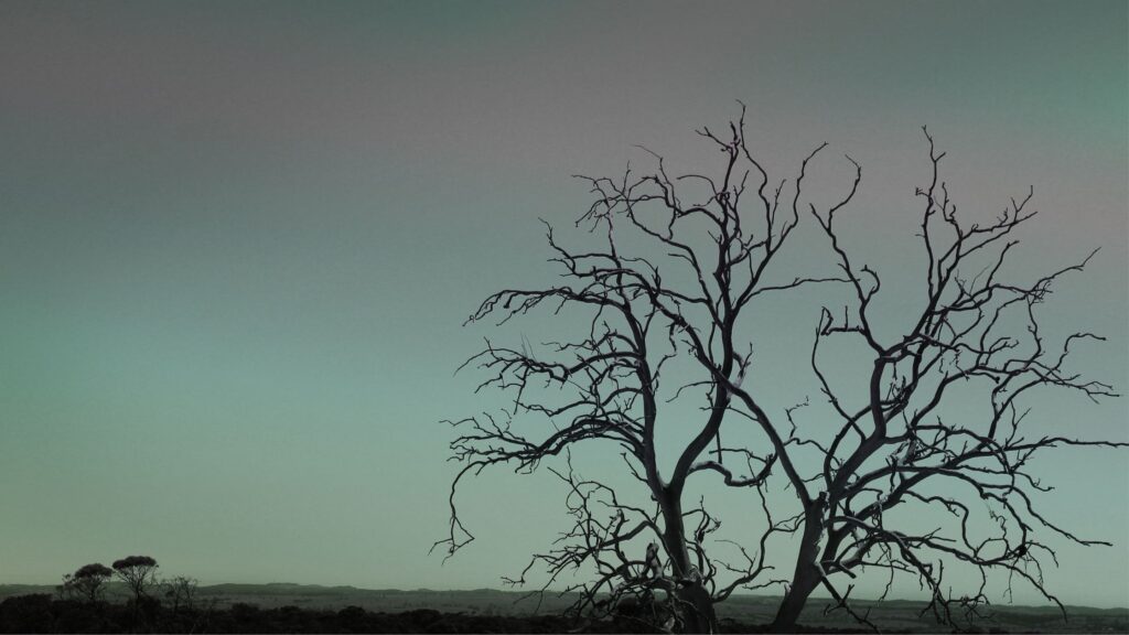 Duane Sheriff Ministries, From Death to Life, Easter Message, Resurrection Sunday, Faith, Power of the Cross, Jesus Christ, Truth, Testimony of Jesus